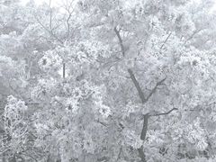 -妙峰山风景名胜区