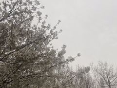 -河南财经政法大学(郑东校区)