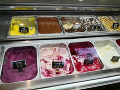 -Patagonia Chocolates(皇后镇店)