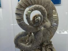 -贝壳王国博物馆