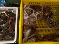 -旺角小渔村(幸福中路店)