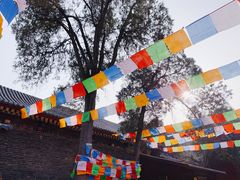 -西安市广仁寺