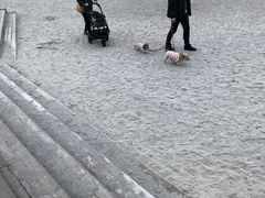 -台场海滨公园船码头