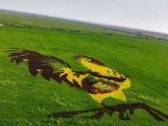-红海滩国家风景廊道