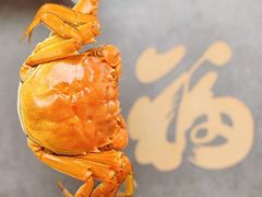 -乡乐园蟹庄·阳澄湖农家乐