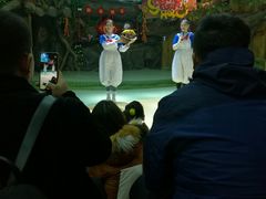 -萌宠奇缘