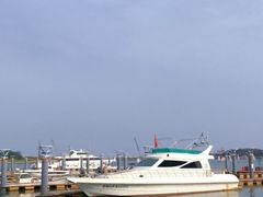 -渡海小渔村.老辈日照菜