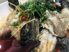 清蒸桂花鱼-韩山苑·潮州美食·私房菜(天安数码时代大厦店)