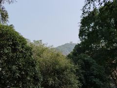 -上海佘山国家森林公园西佘山园