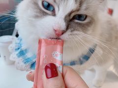 -怪兽屋·羊驼·猫咖·狗咖(俊华广场店)