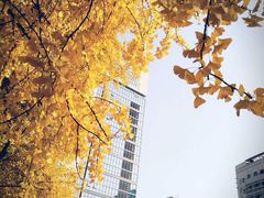 -四川大学(华西校区)