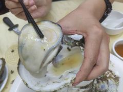 桑拿蠔-天宝食坊·啫啫煲大排档(西华路店)