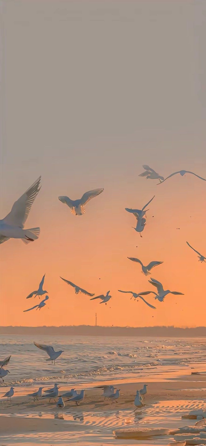 你想要的微信锁屏,微信壁纸完美wechat