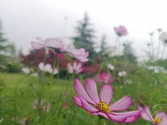 -汇泉广场