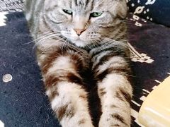 -平行世界·猫咖(首经贸店)