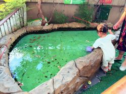 -可可天空农场(中大店)