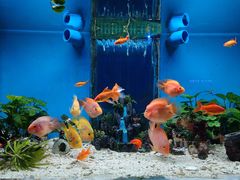 -荆州中山公园动物园