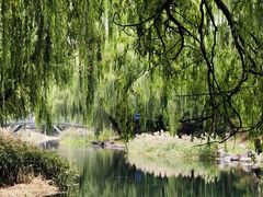 -南长河公园