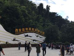 -西双版纳原始森林公园