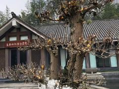 -龙头寺公园