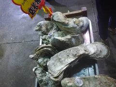 -蚝专家(北滘店)