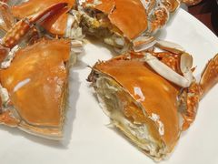 -天天鱼港·海鲜·鲅鱼水饺·招牌烤鸭(黄骅店)