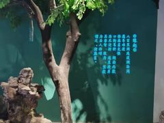 -佬麻雀·剁椒鱼头(京基KK One店)