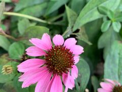 -西湖风景区-江洋畈生态公园