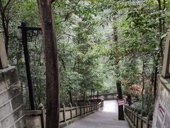 -都江堰普照寺