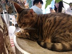 -小时光咖啡馆(北锣鼓巷店)