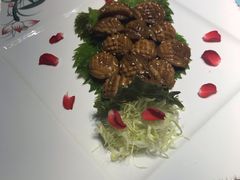 -松云泽