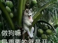 -东瓯大酒店(温州梧田老街店)