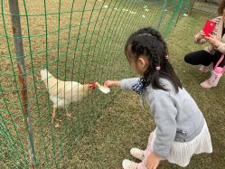 -前小桔亲子创意农场·草莓采摘·露营烧烤
