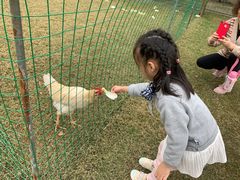 -前小桔亲子创意农场·草莓采摘·露营烧烤