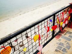 -北海金海湾红树林生态旅游区