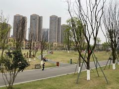 -府河摄影公园