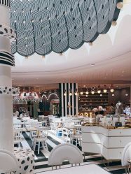 -超级奈尔宝SUPER NEOBIO(杭州星光店)