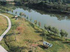 -风云岭森林公园