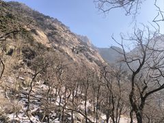 -泰山风景名胜区