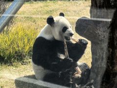 -无锡动物园·太湖欢乐园