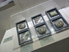 -海口市博物馆