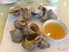 海螺-海岛渔村大酒店(云霄路店)