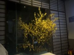 -上足·影院足道·SPA(红岭店)