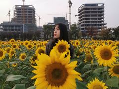 -映月湖中央公园