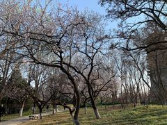 -玲珑塔公园