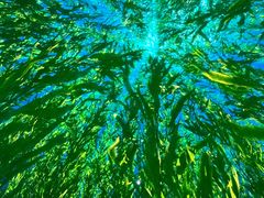 -海合安青岛极地海洋公园