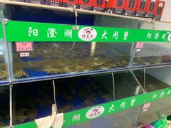 -阳澄湖大闸蟹·琼灵阁牌品牌连锁(吴中总店)