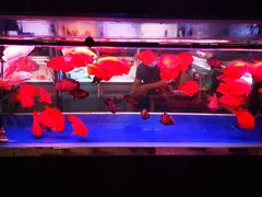 -三旗百汇商品城