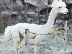 -上海大自然野生昆虫馆(东方明珠·爬宠昆虫探索中心)