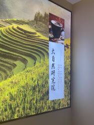 -头道汤头疗养生馆